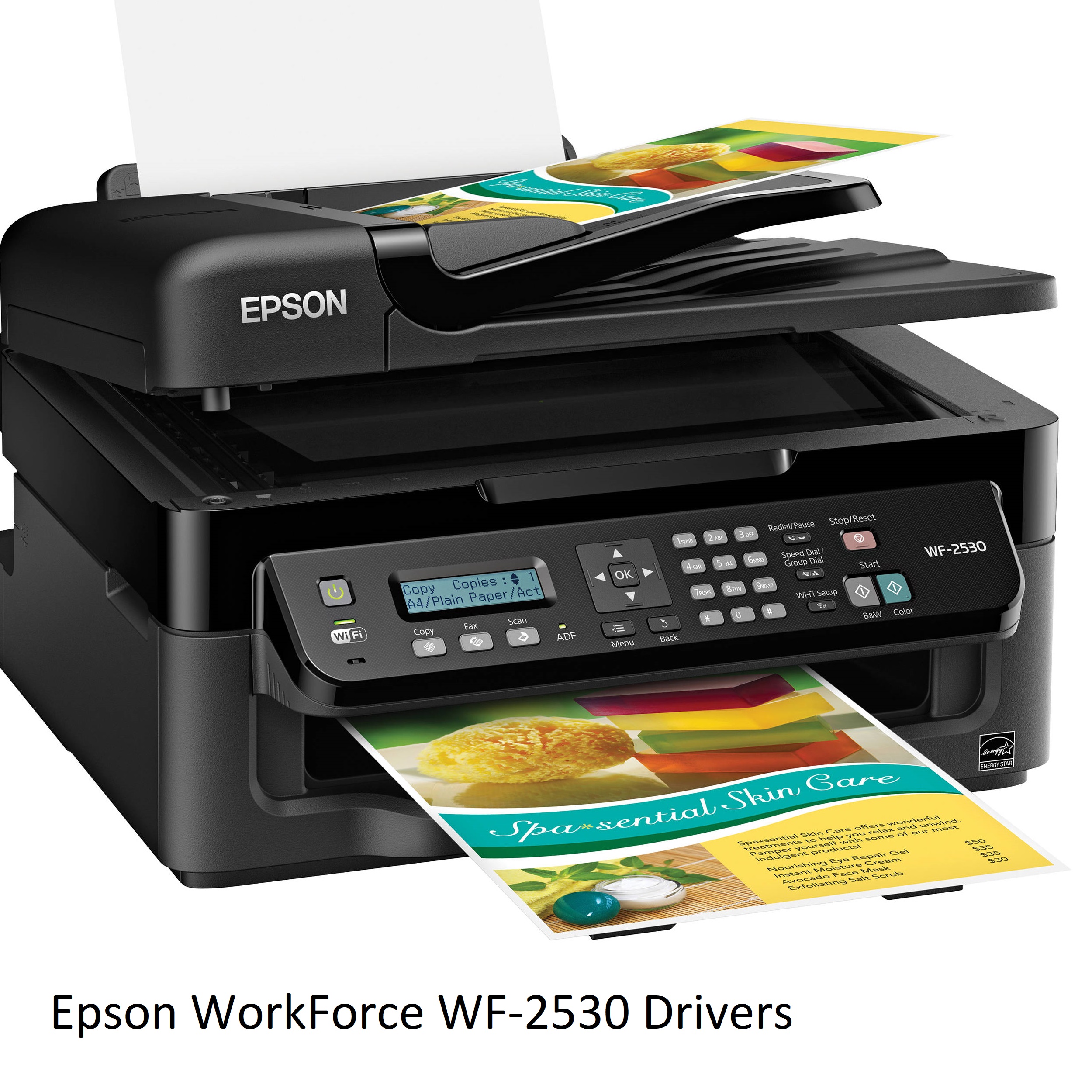 Epson WorkForce WF-2530
